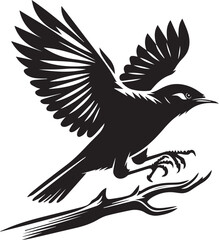 Vector bird myna silhouette illustration
