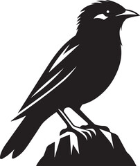 Vector bird myna silhouette illustration