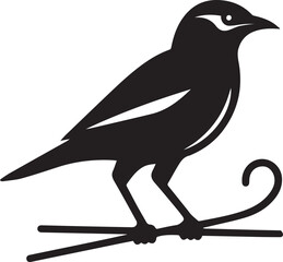 Vector bird myna silhouette illustration
