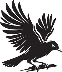 Vector bird myna silhouette illustration