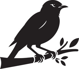 Vector bird myna silhouette illustration