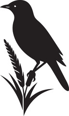 Vector bird myna silhouette illustration