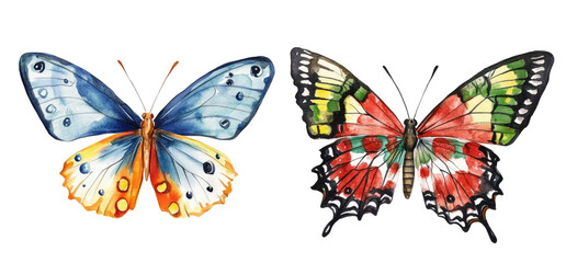Two vibrant butterflies with intricate patterns