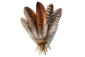 Fototapeta premium Feathered arrangement displaying intertwined brown and grey plumes, bound with twine on transparent backdrop
