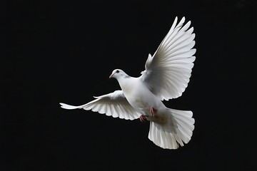 Obraz premium Majestic White Dove in Flight: A Symbol of Peace International Peace Day