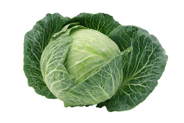 Fototapeta premium Fresh green cabbage isolated on black background