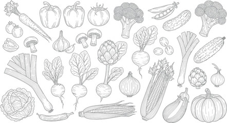 Collection of fresh vegetables hand drawn outline illustration on white background