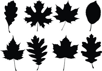 set of autumn leaves silhouette vector