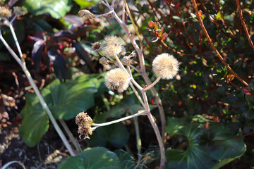 Flowers and plants add color to any space, inspire creativity and reflect the changing seasons of...