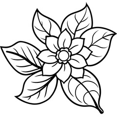 black and white flower