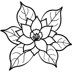 black and white flower