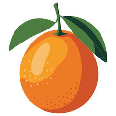 vector illustration of orange fruit