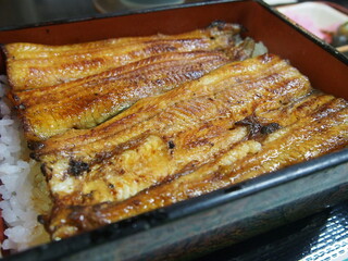 とろけるような舌ざわりの鰻重