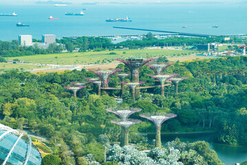 シンガポール・フライヤーから眺めるガーデンズ・バイ・ザ・ベイとフラワードーム　Gardens By The Bay from Singapore Flyer