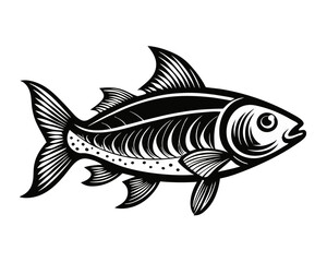 Fototapeta premium roach fish monochrome hand drawn illustration