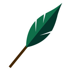 Obraz premium Aristate leaf long pointed tip vector icon on white background.