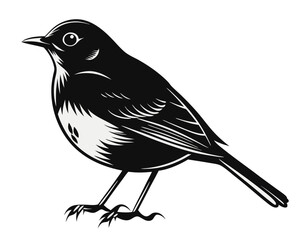 Obraz premium Charming silhouette of a robin bird in flight featuring a clean black outline perfect for graphic design projects and nature themed artwork