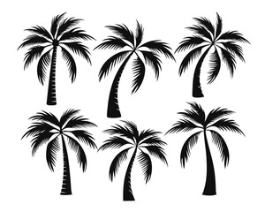 Fototapeta premium Collection of striking black silhouette graphics featuring a tropical palm tree perfect for coastal themes summer designs and exotic branding elements