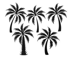 Obraz premium Collection of striking black silhouette outlines featuring a tropical palm tree perfect for coastal themes and summer designs