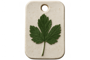 Green leaf delicately pressed onto rectangular ceramic label, highlighting organic texture against translucent surface with minimalist, artisanal design approach