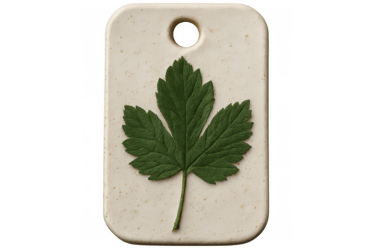 Green leaf delicately pressed onto rectangular ceramic label, highlighting organic texture against translucent surface with minimalist, artisanal design approach - Powered by Adobe