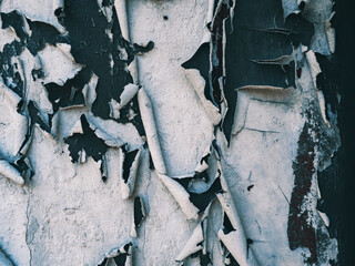 Peeling paint revealing layers of texture and color on an old wall in an urban environment