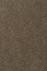 Fototapeta premium brown paper page texture background.