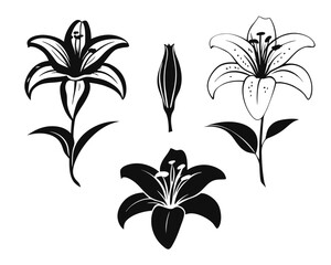 Obraz premium Collection of elegant lily silhouettes showcasing diverse artistic styles and charming aesthetics for creative projects