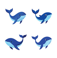 Obraz premium Blue Whale