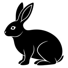 Obraz premium A black rabbit is sitting isolated on white background