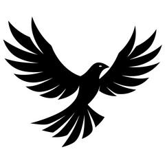 Obraz premium A black bird spreads its wings isolated on white background