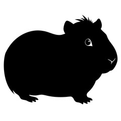 Obraz premium A black guinea pig is isolated on white background