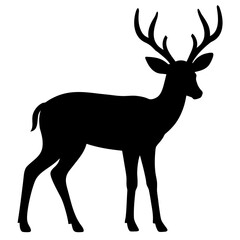 Obraz premium A black deer stands isolated on white background