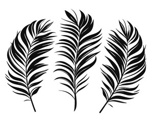 Obraz premium Collection of elegant palm leaf silhouettes showcasing tropical foliage designs in a monochrome palette with subtle color variations for versatile decorative applications