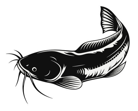 Artistic rendering of a large european catfish known as wels or sheatfish depicted with a fluid watercolor inspired artistic style showcasing its elongated body and distinctive features