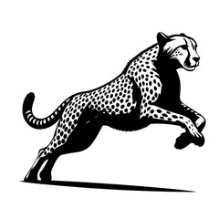 Black and white silhouette vector of a cheetahon white background