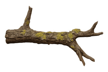 Weathered tree branch covered in moss and lichen, offering natural woodland texture against transparent backdrop for design projects