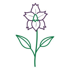 larkspur-flower line  art vector on-white-background