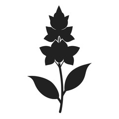 larkspur flower silhouette on white-background