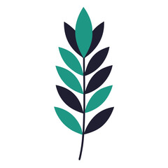 laurel flower vector illustration on white-background
