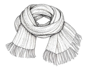 Winter Knitted Scarf Illustration