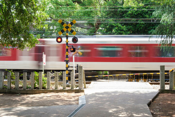 神社の境内を電車が走る