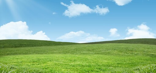 Blue sky over green field