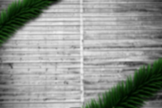 Fototapeta Blurred fir branches on wood