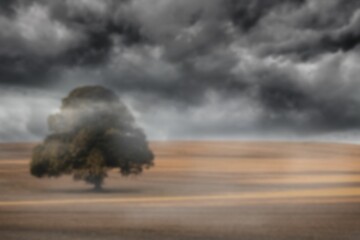 Fototapeta premium Storm clouds over tree on field