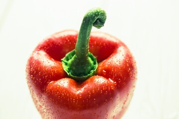 Close-up of fresh red pepper with water drops