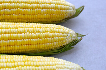 Sweet corn, Fresh yellow corn