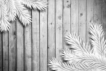 Obraz premium Blurred fir branches on wood