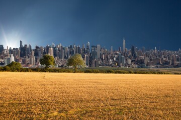 Illustrative image of grassy landscape and buildings
