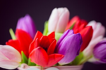 Flat design is showing multicolored tulip bouquet with light-colored container and green stems